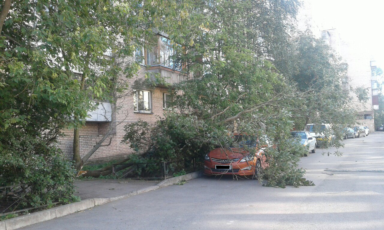 Варшавская ул.